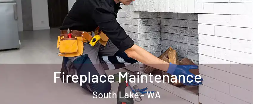 Fireplace Maintenance South Lake - WA