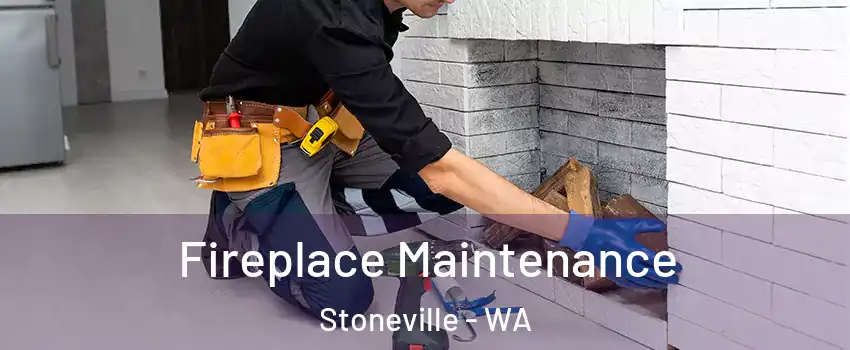 Fireplace Maintenance Stoneville - WA