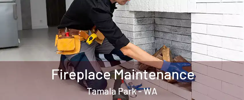 Fireplace Maintenance Tamala Park - WA