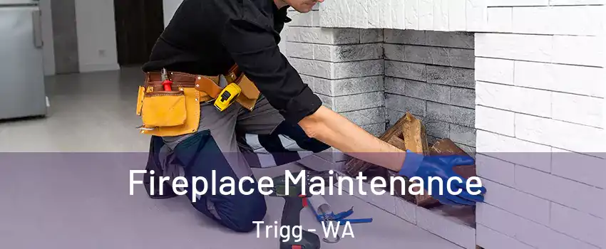 Fireplace Maintenance Trigg - WA