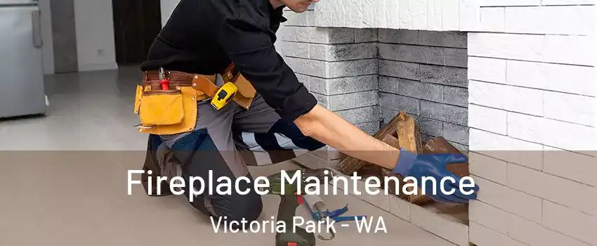 Fireplace Maintenance Victoria Park - WA