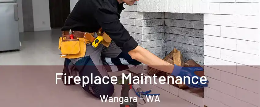Fireplace Maintenance Wangara - WA