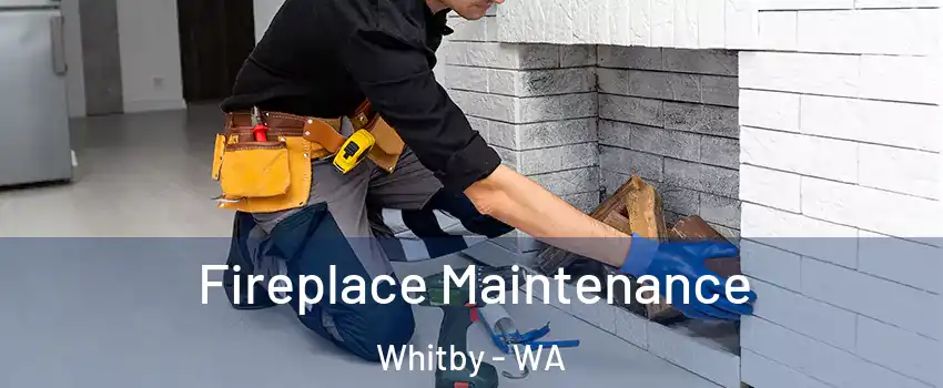 Fireplace Maintenance Whitby - WA