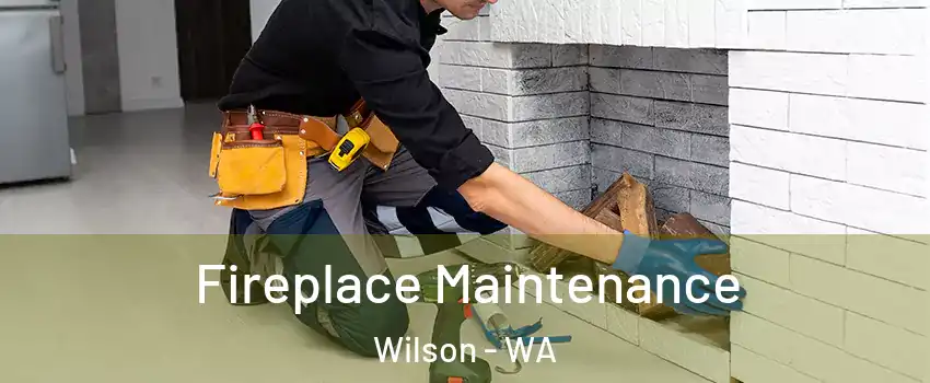 Fireplace Maintenance Wilson - WA
