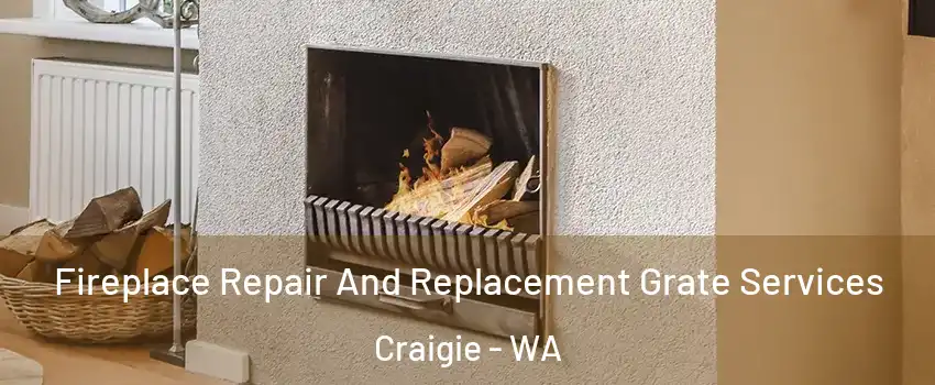 Fireplace Repair And Replacement Grate Services Craigie - WA