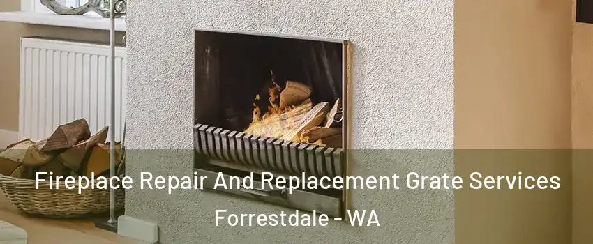  Fireplace Repair And Replacement Grate Services Forrestdale - WA