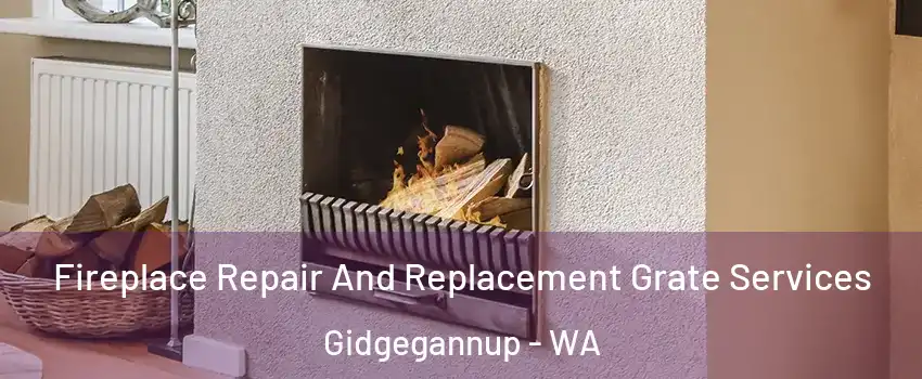 Fireplace Repair And Replacement Grate Services Gidgegannup - WA
