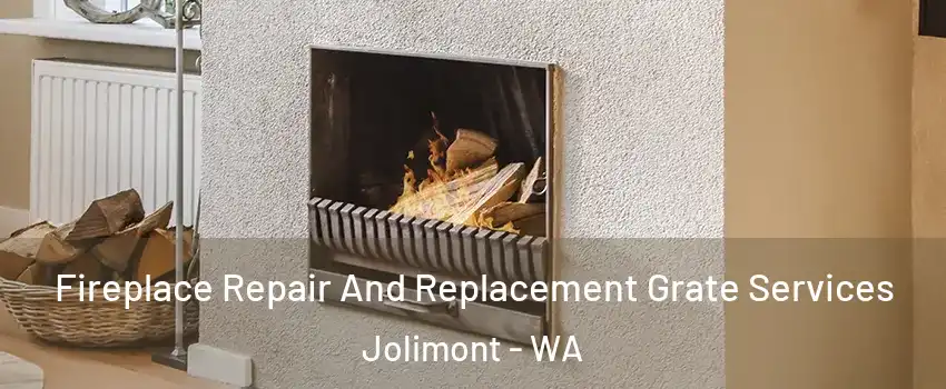 Fireplace Repair And Replacement Grate Services Jolimont - WA