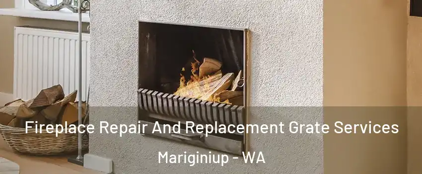 Fireplace Repair And Replacement Grate Services Mariginiup - WA
