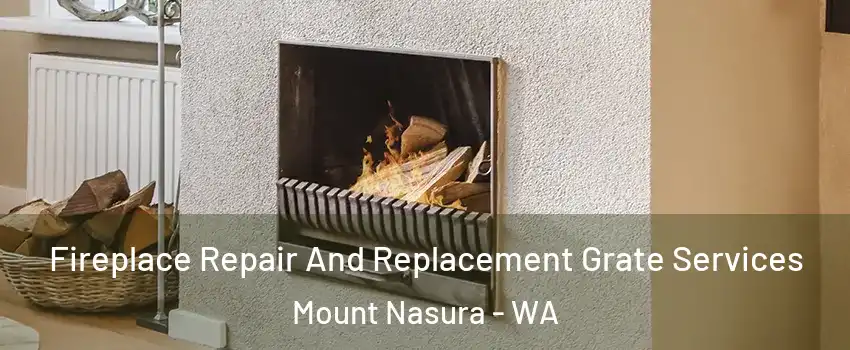 Fireplace Repair And Replacement Grate Services Mount Nasura - WA