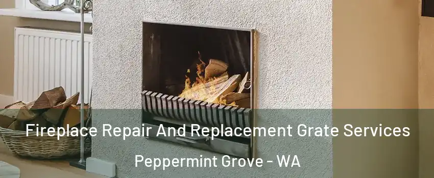 Fireplace Repair And Replacement Grate Services Peppermint Grove - WA