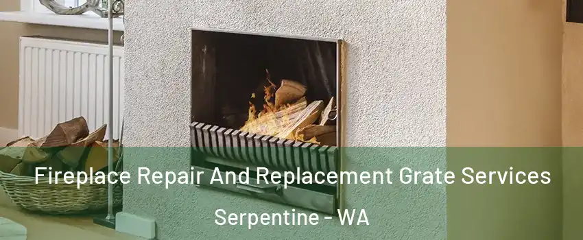 Fireplace Repair And Replacement Grate Services Serpentine - WA