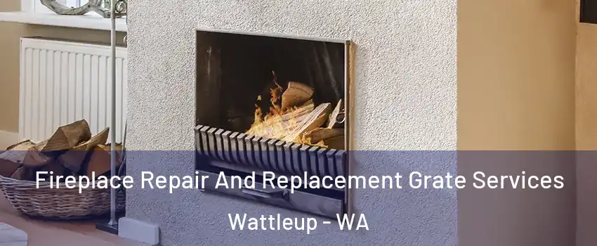 Fireplace Repair And Replacement Grate Services Wattleup - WA