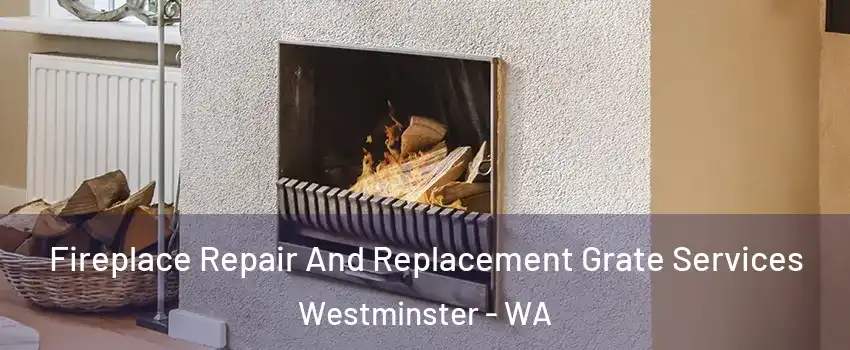 Fireplace Repair And Replacement Grate Services Westminster - WA