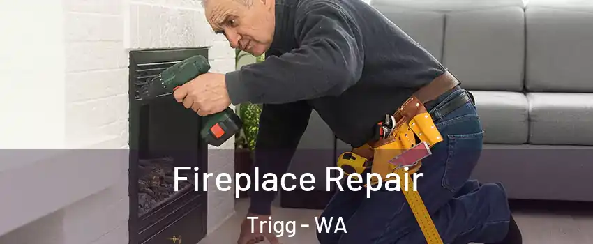 Fireplace Repair Trigg - WA