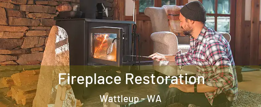 Fireplace Restoration Wattleup - WA
