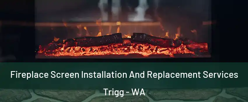 Fireplace Screen Installation And Replacement Services Trigg - WA