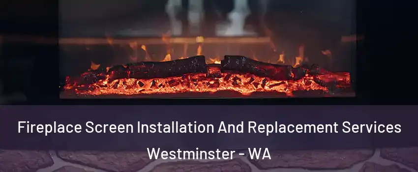 Fireplace Screen Installation And Replacement Services Westminster - WA