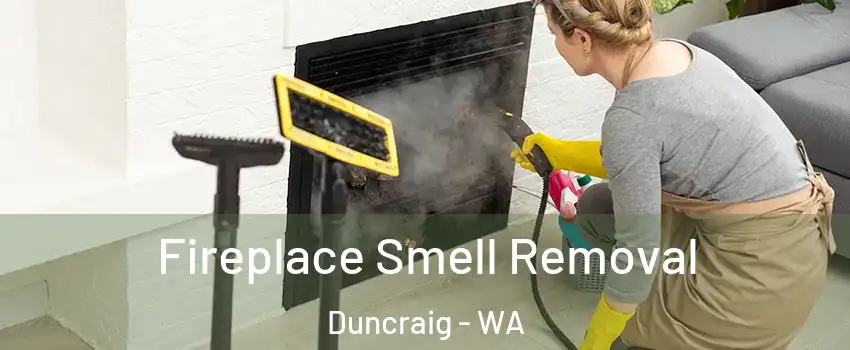 Fireplace Smell Removal Duncraig - WA