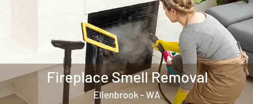 Fireplace Smell Removal Ellenbrook - WA