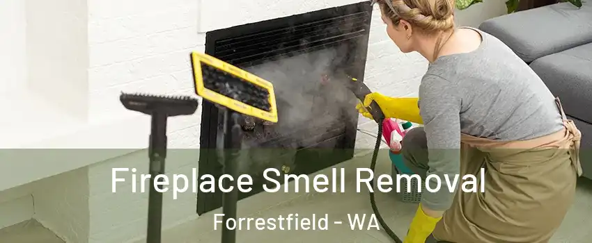 Fireplace Smell Removal Forrestfield - WA