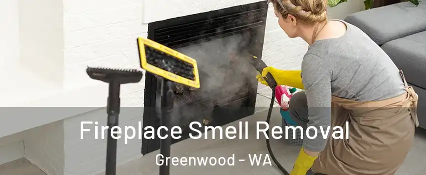 Fireplace Smell Removal Greenwood - WA
