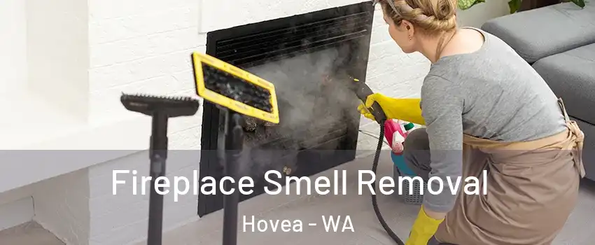 Fireplace Smell Removal Hovea - WA
