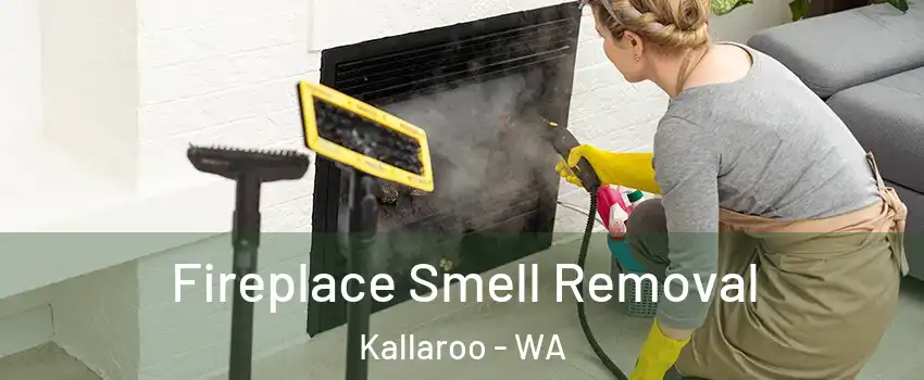 Fireplace Smell Removal Kallaroo - WA