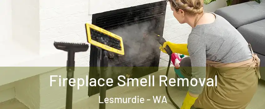 Fireplace Smell Removal Lesmurdie - WA