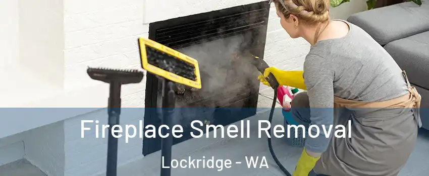 Fireplace Smell Removal Lockridge - WA