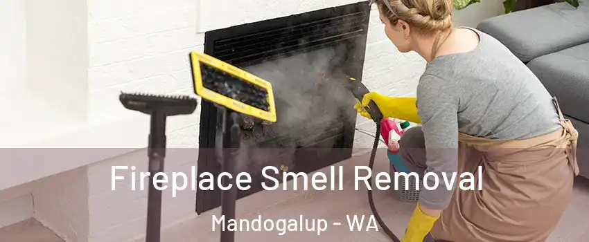 Fireplace Smell Removal Mandogalup - WA