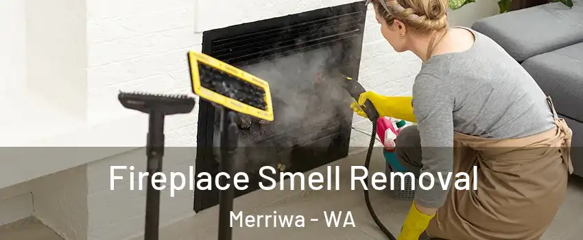 Fireplace Smell Removal Merriwa - WA
