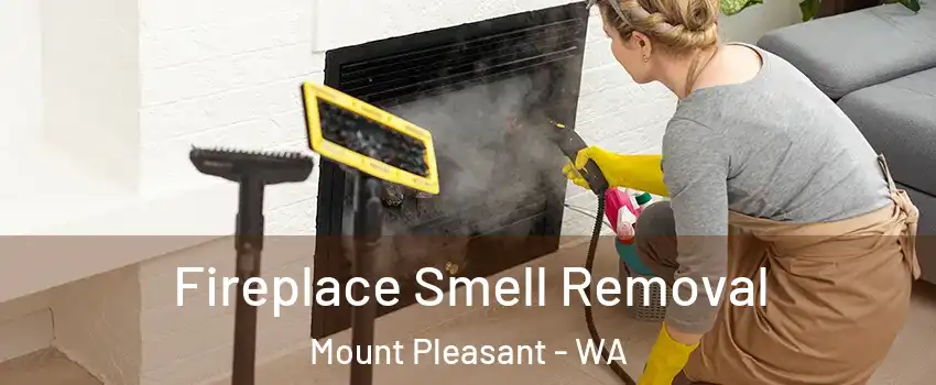 Fireplace Smell Removal Mount Pleasant - WA