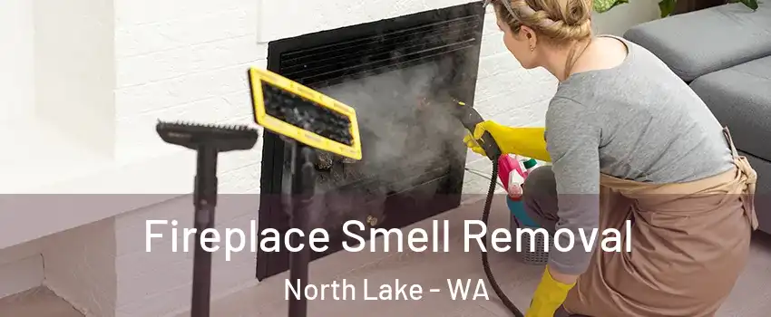 Fireplace Smell Removal North Lake - WA