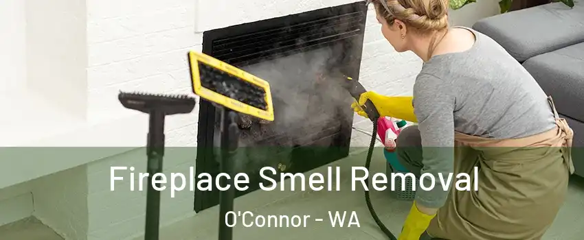 Fireplace Smell Removal O'Connor - WA