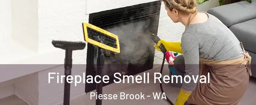 Fireplace Smell Removal Piesse Brook - WA