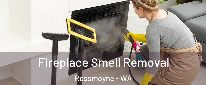 Fireplace Smell Removal Rossmoyne - WA