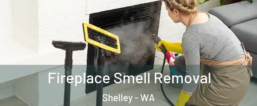  Fireplace Smell Removal Shelley - WA
