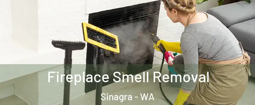 Fireplace Smell Removal Sinagra - WA