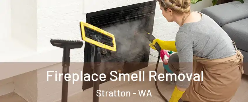Fireplace Smell Removal Stratton - WA