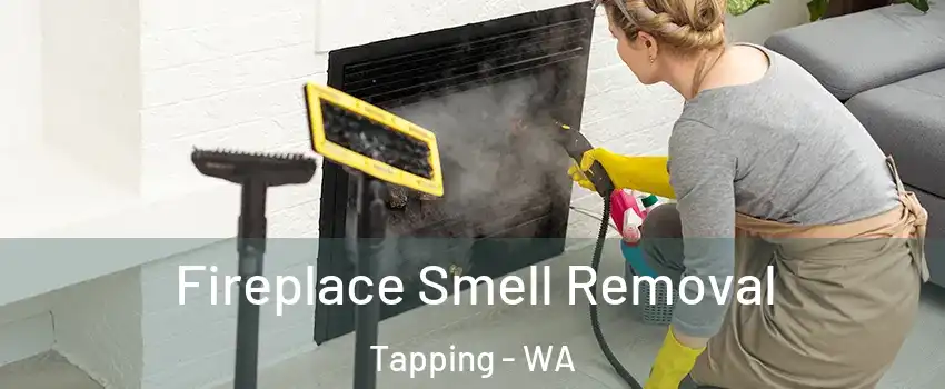 Fireplace Smell Removal Tapping - WA