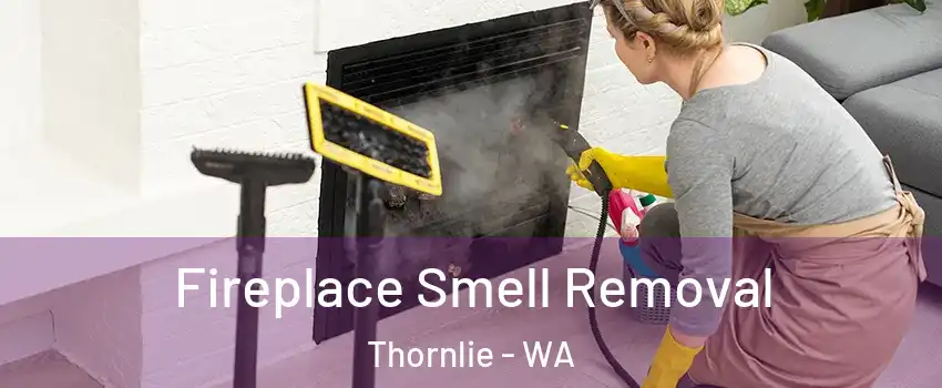 Fireplace Smell Removal Thornlie - WA