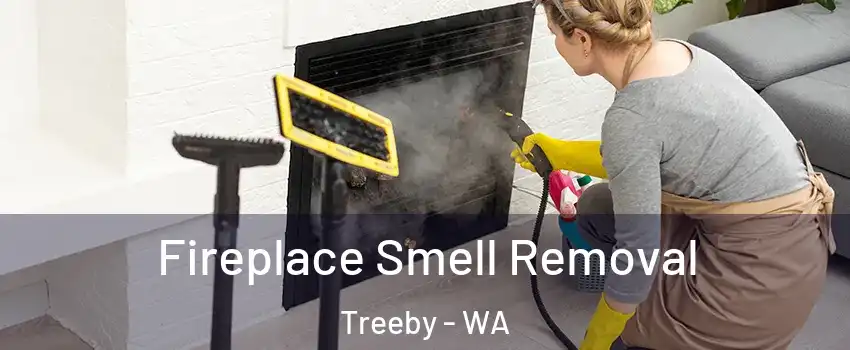 Fireplace Smell Removal Treeby - WA