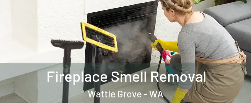 Fireplace Smell Removal Wattle Grove - WA