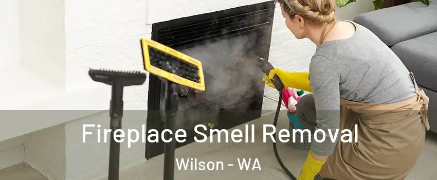 Fireplace Smell Removal Wilson - WA
