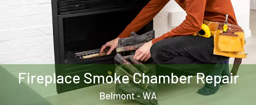 Fireplace Smoke Chamber Repair Belmont - WA