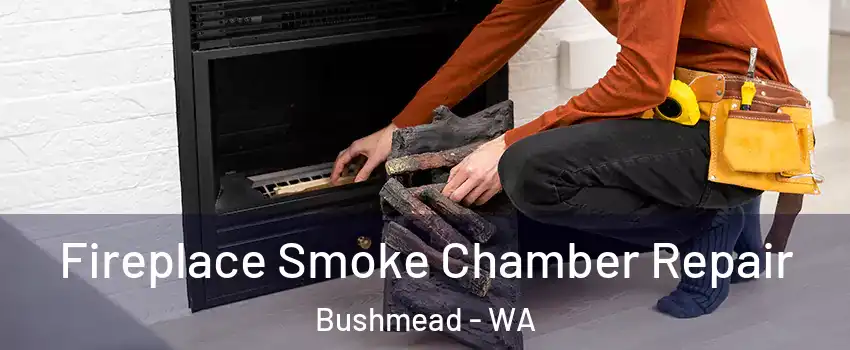Fireplace Smoke Chamber Repair Bushmead - WA