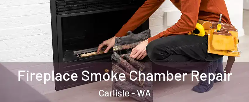 Fireplace Smoke Chamber Repair Carlisle - WA