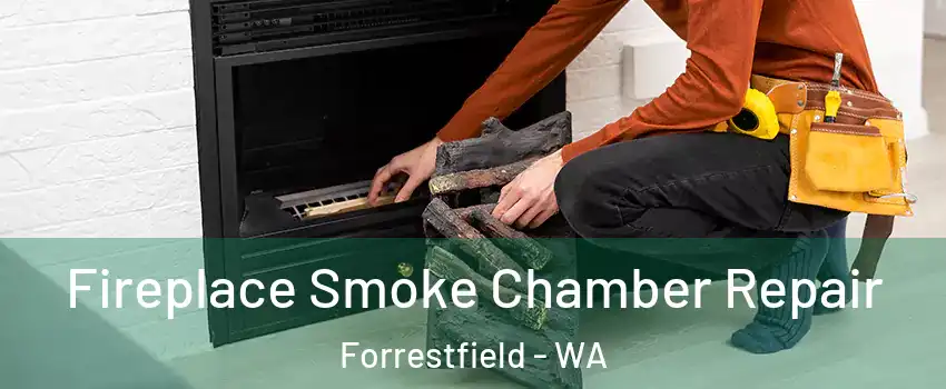 Fireplace Smoke Chamber Repair Forrestfield - WA