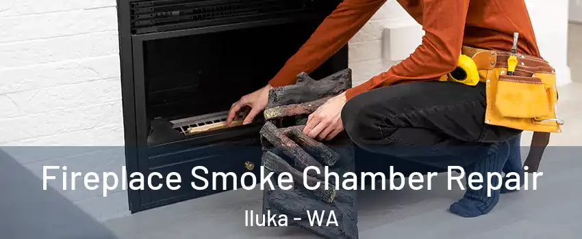 Fireplace Smoke Chamber Repair Iluka - WA